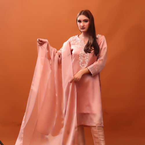 3 PIECE – Embroidered Shesha Tissue